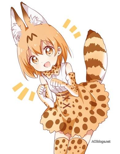 kupOyu2oYPm8FURp.jpg