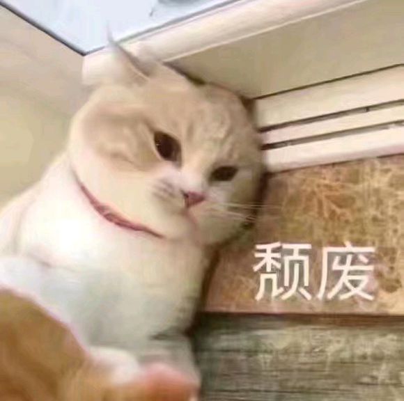 TMXQAXgPAjXAACCg.jpg