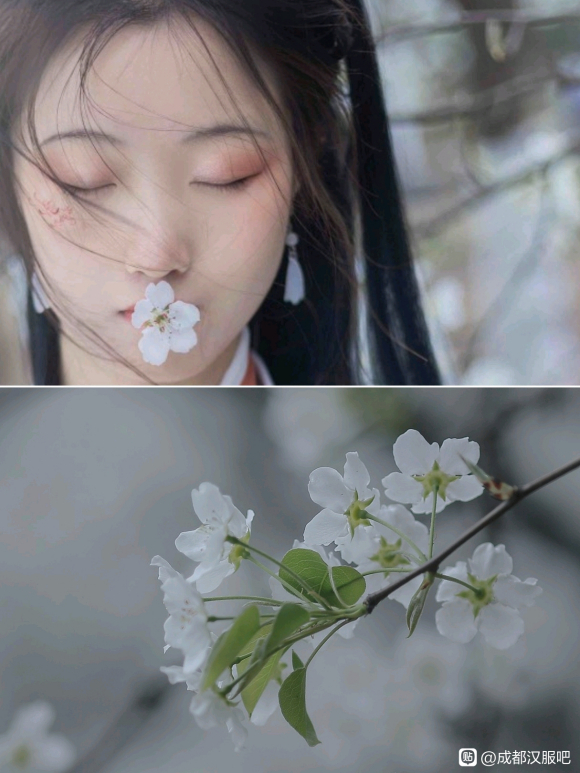 ����д��|�ɶ�Լ��-2.jpg
