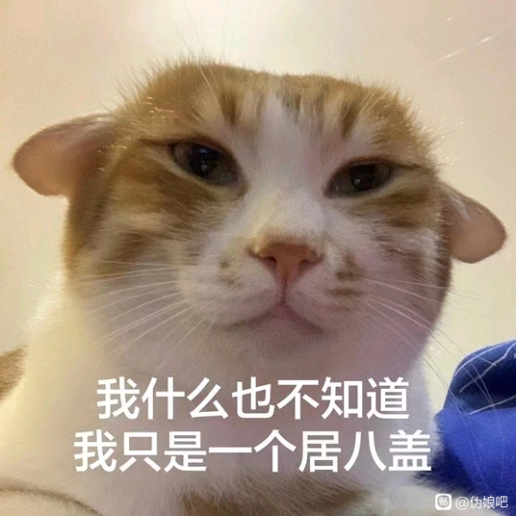 ��һ�Ͼ���û��һ��ȥ��չ��-1.jpg