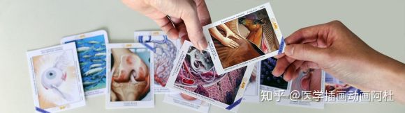 ���ںų��� AMI ����ҽѧ�廭ʦЭ���Ա���߼�ע���Ա��ɶĿ��?-1.jpg