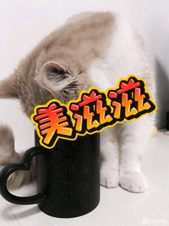 �����������ض�����Ʒ����Ⱥ,����Ҫ��Ⱥ-2.jpg