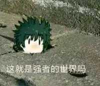���廭��ɫ��ɨ��С�����ultra�ɰ���-1.jpg