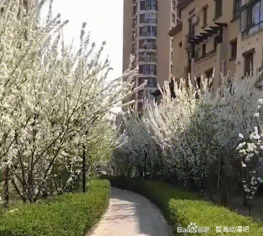 ������,������ů�Ĳ廭�̵̳�����-3.jpg
