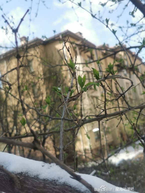 ������,������ů�Ĳ廭�̵̳�����-6.jpg