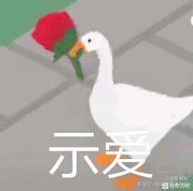 ���,����THO��Ʊ�����ֳ�����,����ûȥ����չ����ĵĳ���-1.jpg