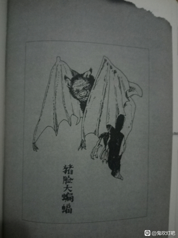 ������Ϊʲô���ܳ�һ���廭�趨��?-7.jpg