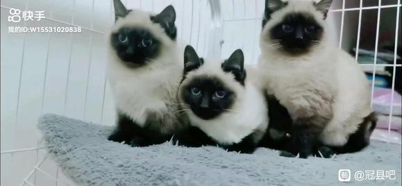 ���ر���������Ʒ����Ⱥ!-1.jpg