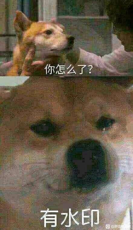 �������ӵ��ֻ���ֽ-1.jpg