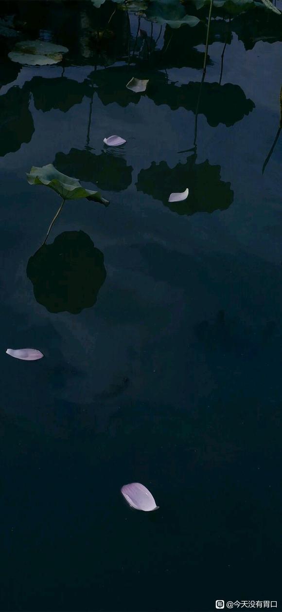 �ʻ���ֽ�㻻����-1.jpg