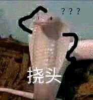 �����ǰ�׿����ô���ö����ֽѭ�����Ű�?-1.jpg