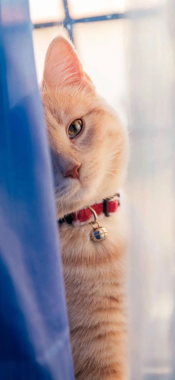 ��ѡ��ֽ|Ը��̤��ɽ�������˼�ֵ�á���743�ڡ�-5.jpg