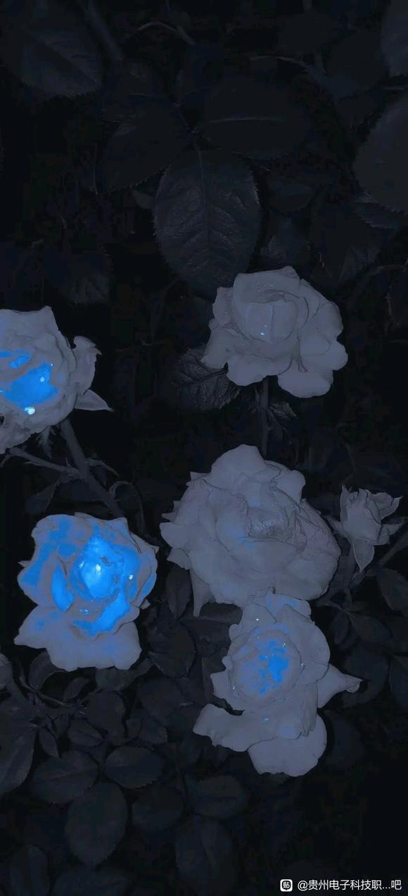 ����һ�±�ֽ-3.jpg