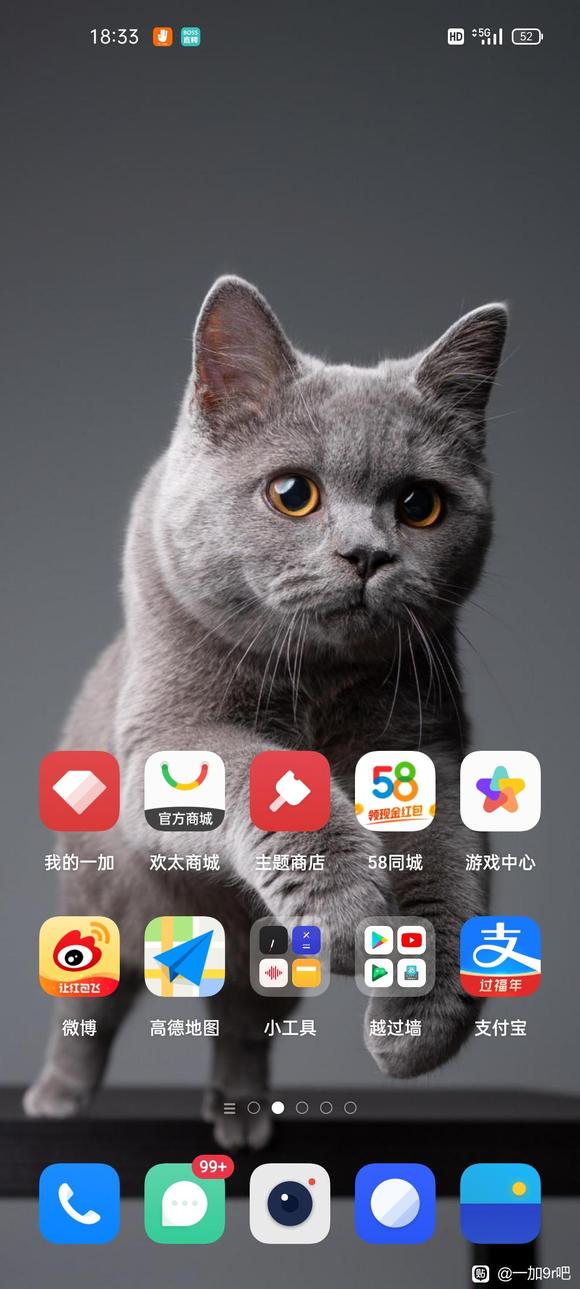 ���ɹ�������ֽ-1.jpg