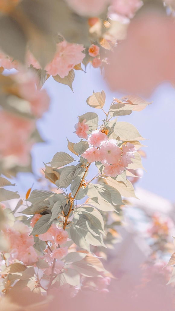 ***�ı�ֽ�ղ�(ԭͼ��ˮӡ)-1.jpg