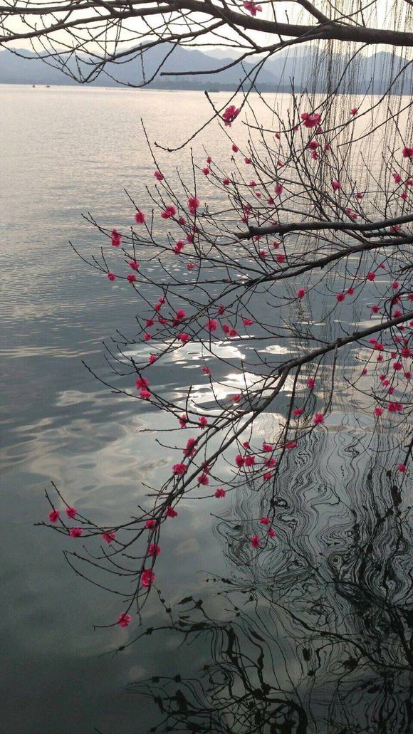 ***�ı�ֽ�ղ�(ԭͼ��ˮӡ)-6.jpg