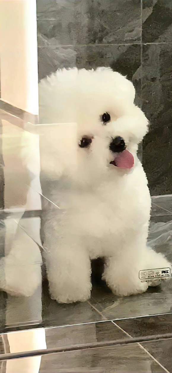 �������ֽ����Ҫ�������-1.jpg