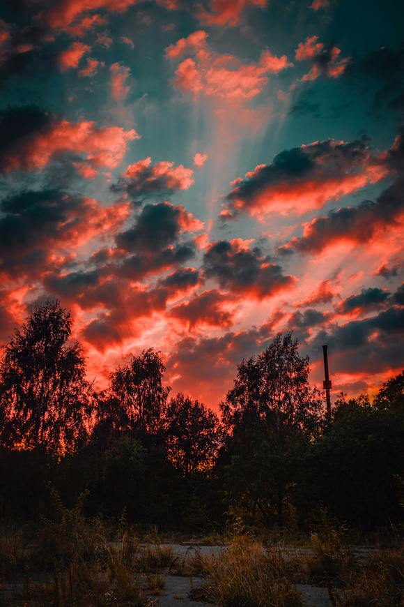 ��λ��������ű�ֽ�ĸ���ͼ��-5.jpg