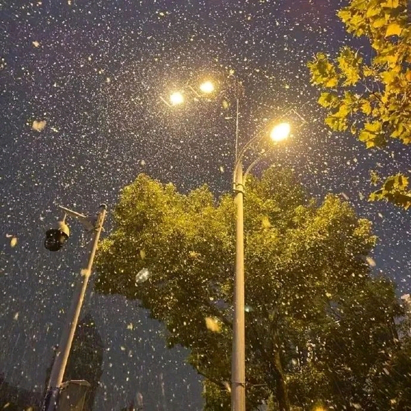 ���Ƽ�������ֽ-7.jpg