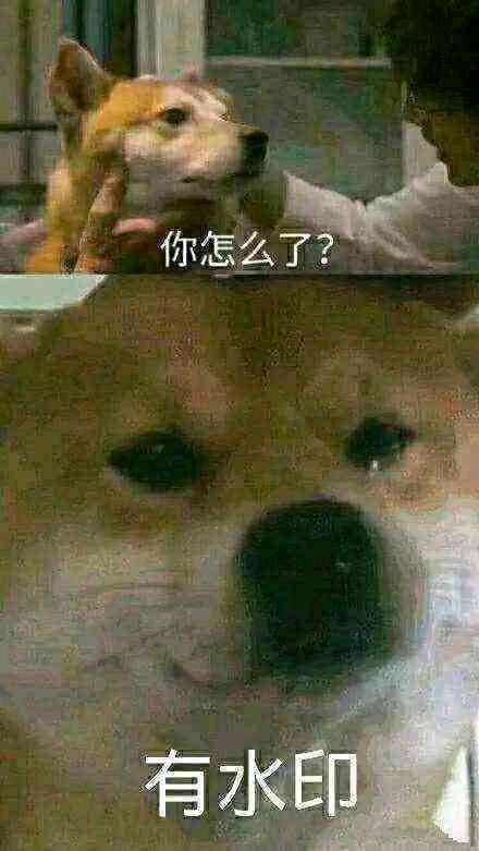 ��û�����ԭͼ,���뵱��ֽ,̫�ÿ���-1.jpg