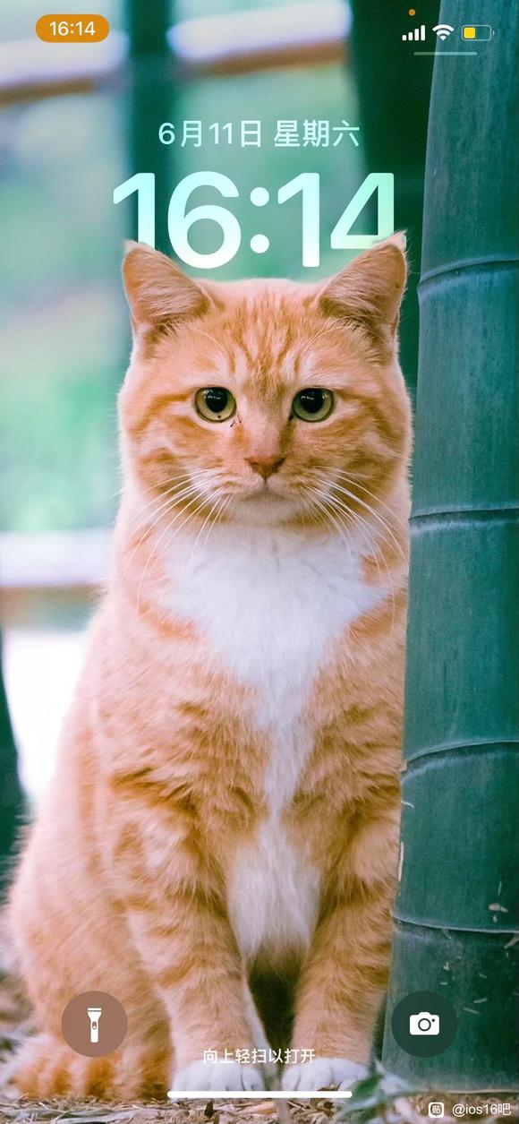 ���Ƶı�ֽ���Դ��һ�����һ��-3.jpg