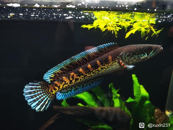 �����ű�ֽ����һ��-6.jpg
