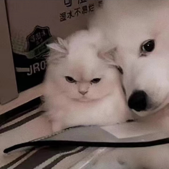 ���ߡ����� ����Щͷ��ͱ�ֽ��-1.jpg