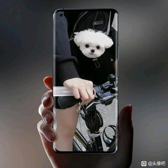 ing��߼���ֽ-2.jpg