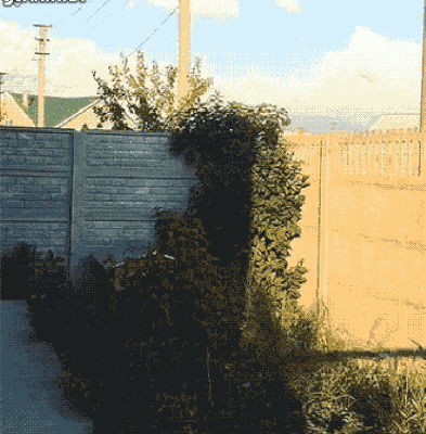 ���1080P�ÿ��ıʼǱ���ֽ-1.jpg