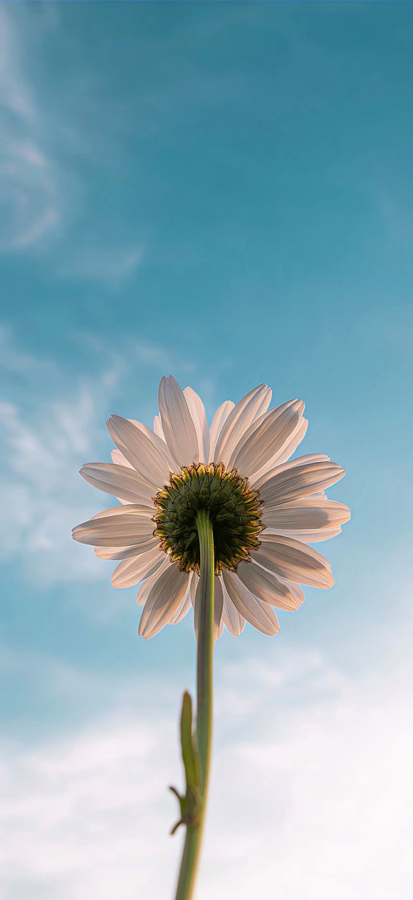 ����է��,��ֽ����&amp;amp;#xF61D;-7.jpg