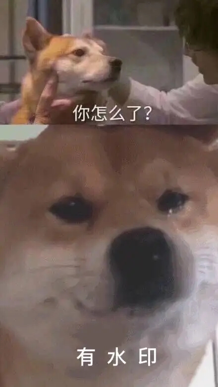 �������ֽ��ÿ�-1.jpg