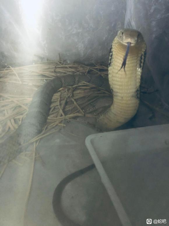 ��ÿ���������ͼƬ,��������Ϊ��ֽ-2.jpg