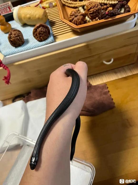 ��ÿ���������ͼƬ,��������Ϊ��ֽ-3.jpg