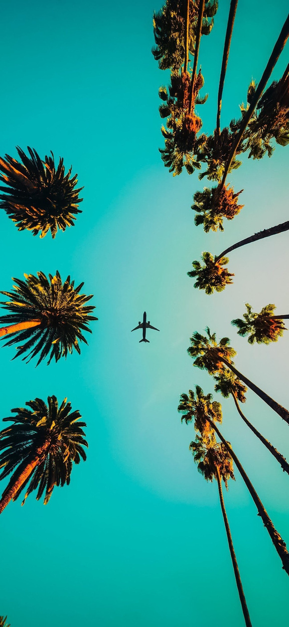���ܵı�ֽ�ɰ�,�����ֽ,��λ������-5.jpg