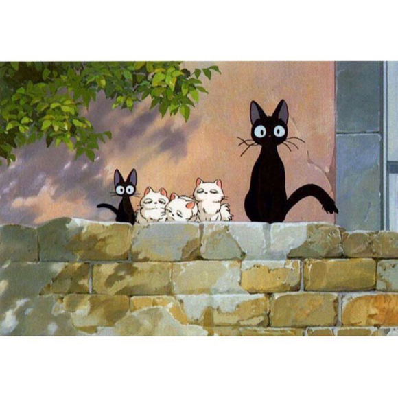 �����Ÿ�����Ա�ֽ-2.jpg