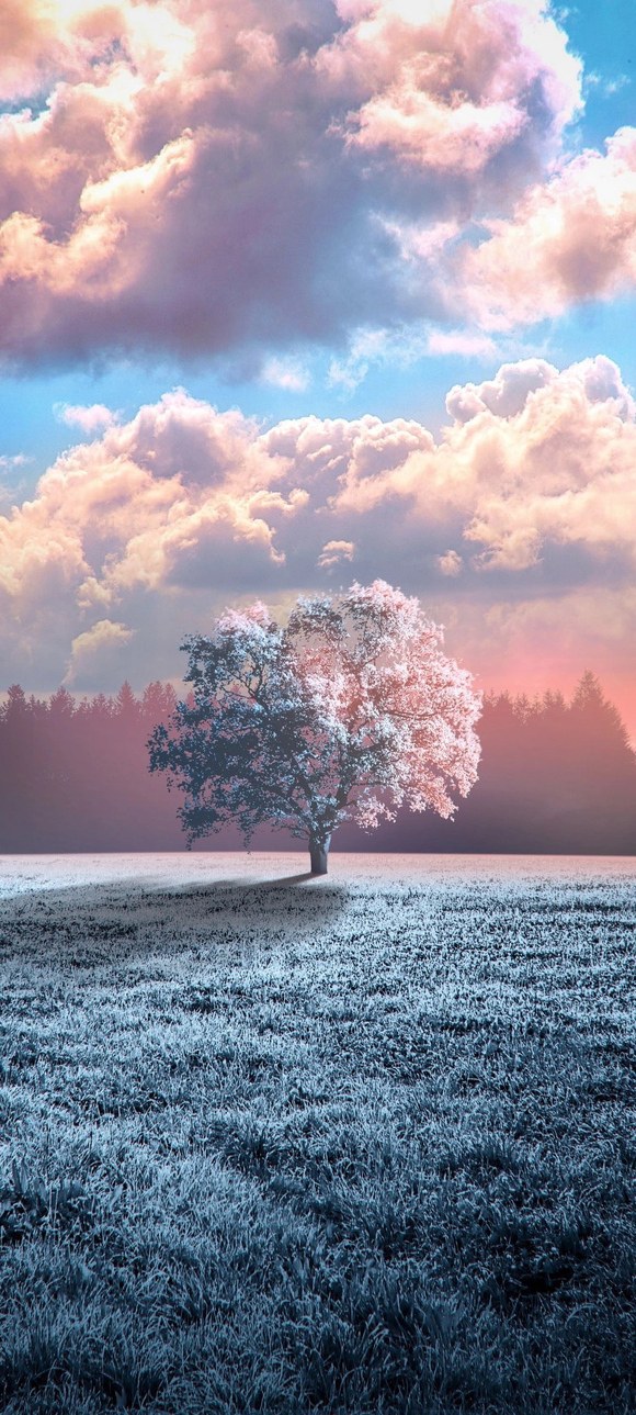 �������һ��iOS16�ı�ֽ,�������кÿ���Ҳ���Է���-2.jpg