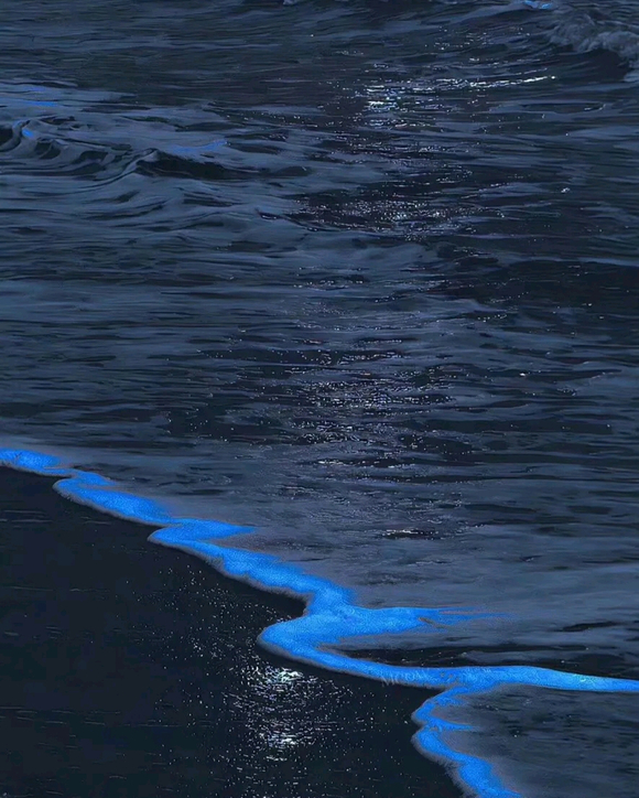 ������  �ù��ı�ֽ  �h���޷��h-2.jpg