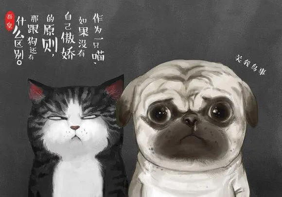��û������������ֽ��-1.jpg