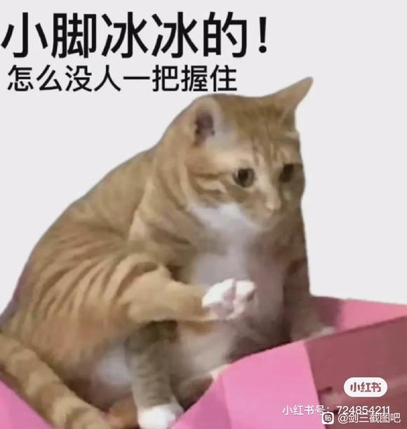 �к��ھ��Ӻ���ֽ��-2.jpg