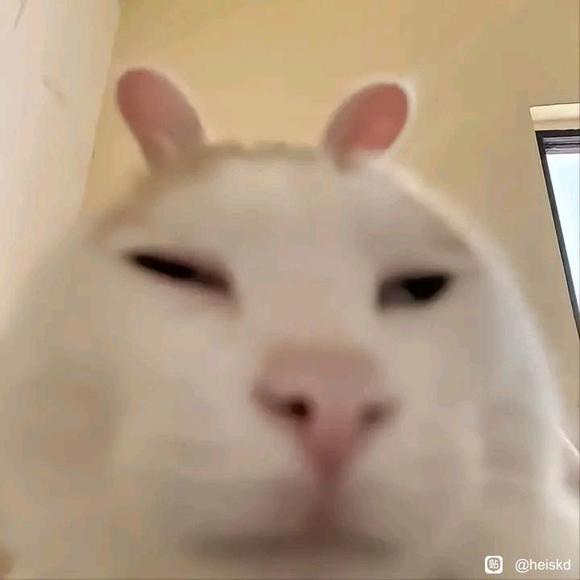 ������İ��ذ��ֽ �����ɫ���������-2.jpg