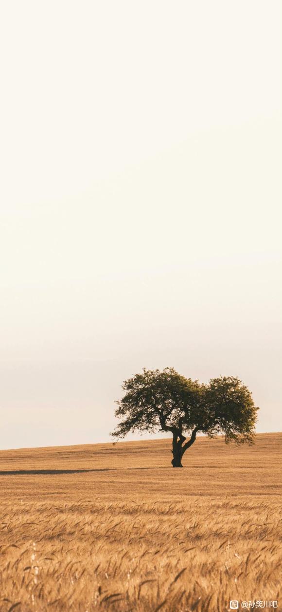 ˮһ����ֽ��-9.jpg