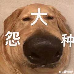 ��������ǳԤ�����ı�ֽ�ļ�  ��λ�����ܷ�һ��-1.jpg