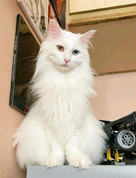 8u��,����ɫͫ��ֽ-2.jpg