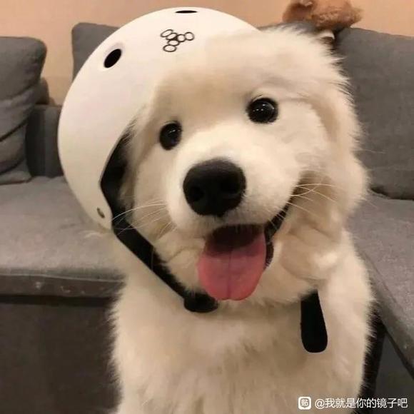 ͷ�񡢱�ֽ������-5.jpg