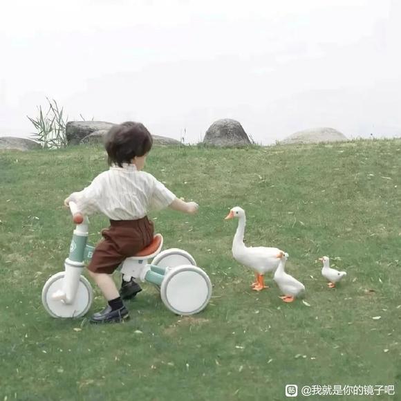 ͷ�񡢱�ֽ������-1.jpg