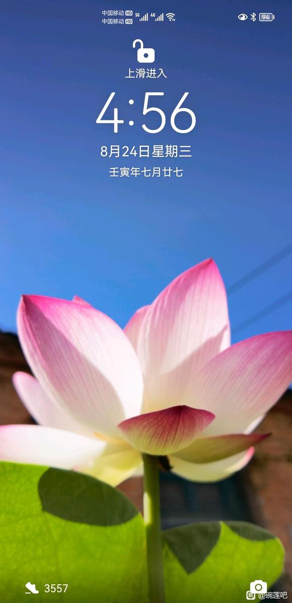 �ҵ��ֻ���ֽ!-1.jpg