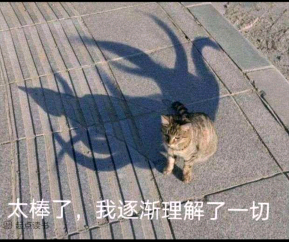 ��������ѯ��0824�����ʴ�ҵ�oppo�ֻ������õ�ʲô��ֽ��?-2.jpg