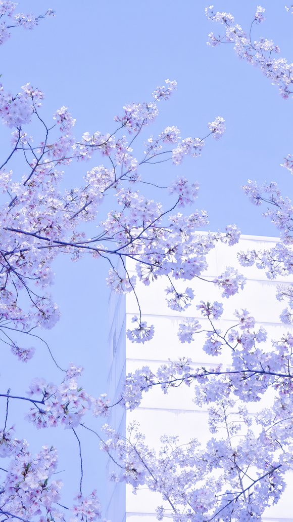 ����һЩ��ֽ!-8.jpg