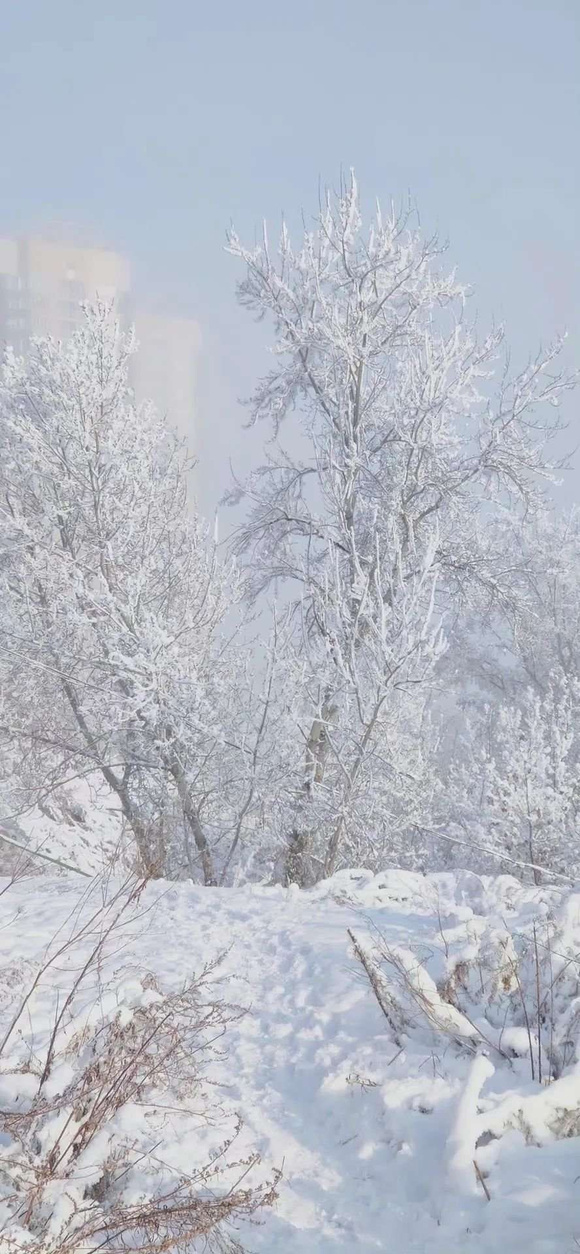 ����һЩ��ֽ!-1.jpg