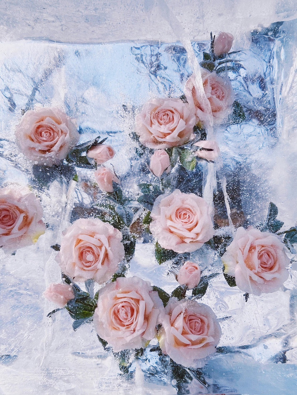 ����һЩ��ֽ!-2.jpg